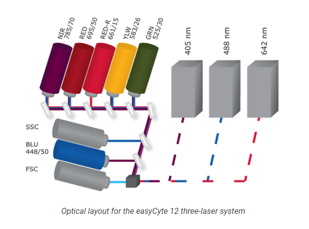 Guava Easycyte Software – Cytek Easy Cyte – SFSPF